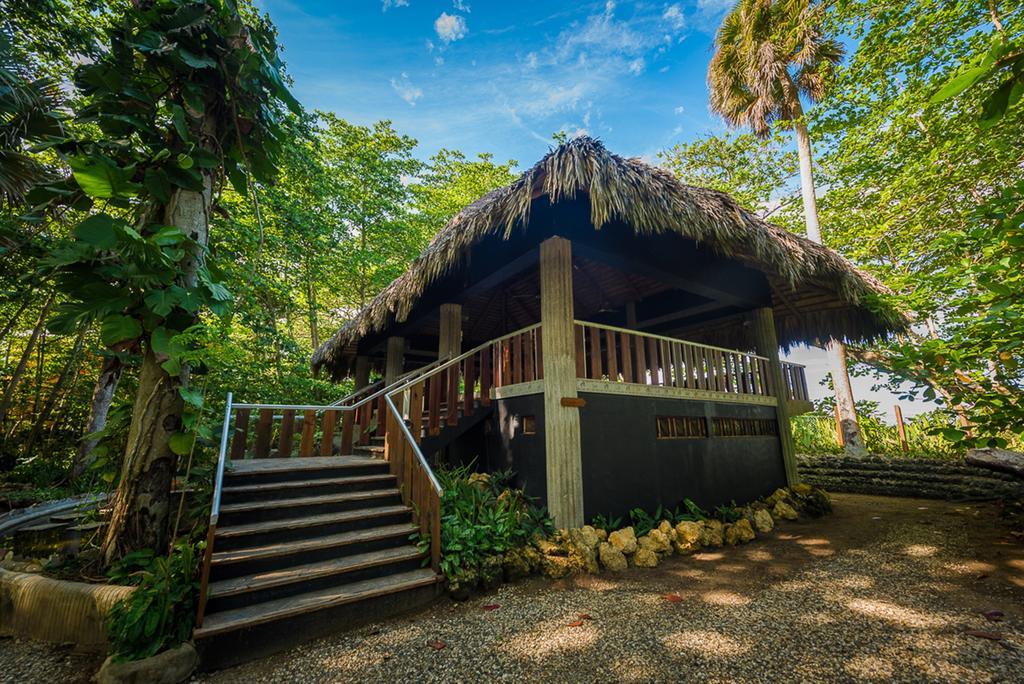 Natura Cabana Boutique Hotel & Spa By Mint Cabarete Dış mekan fotoğraf