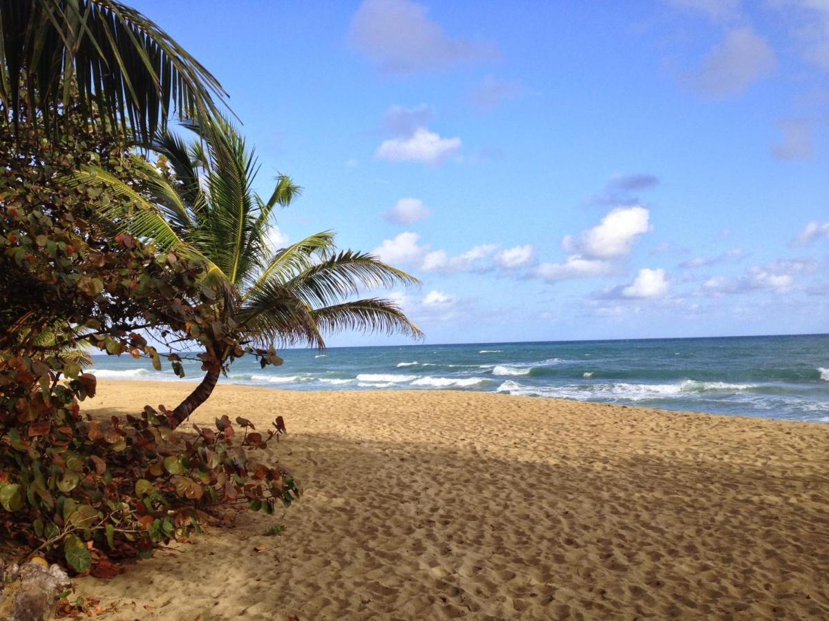 Natura Cabana Boutique Hotel & Spa By Mint Cabarete Dış mekan fotoğraf